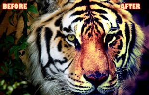 Vintage simple effect