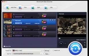 Doremisoft XAVC Video Converter screenshot 1