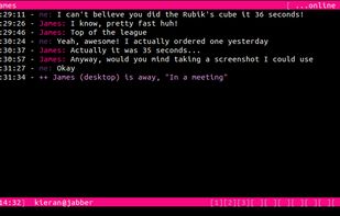 Profanity screenshot 1