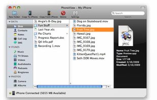 PhoneView screenshot 1