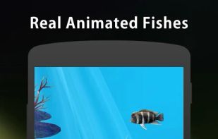 3D Aquarium Live Wallpaper HD screenshot 1