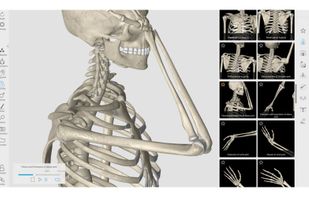 3D Organon Anatomy screenshot 2