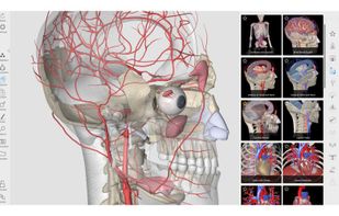3D Organon Anatomy screenshot 1