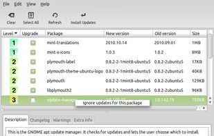 Update Manager screenshot 1