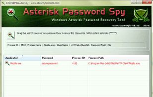 Asterisk Password Spy screenshot 1