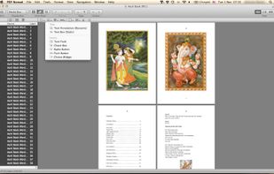 PDF Nomad Document Window