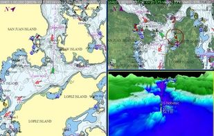 Split Screen with MAX Pro Chart and 3D.