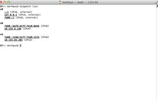 Dispatch-proxy showing available connections on Mac