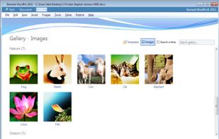 Element WordPro screenshot 2