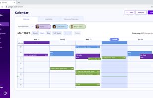 Team shared calendar