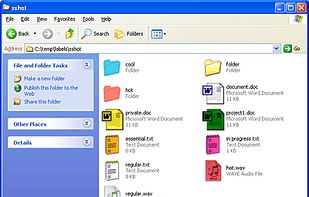 This is how colored file and folder icons look in Windows XP Explorer. 