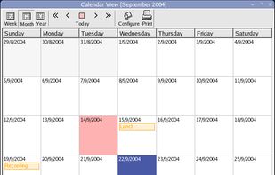 Calendar - month view