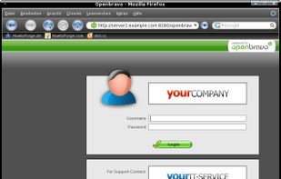 Openbravo screenshot 1