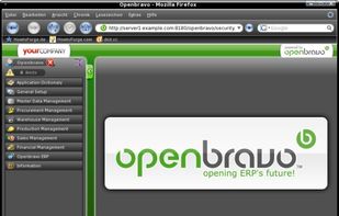 Openbravo screenshot 2