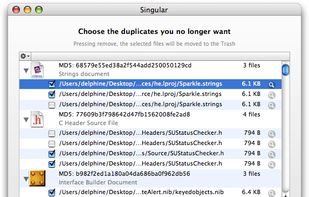 Singular screenshot 1