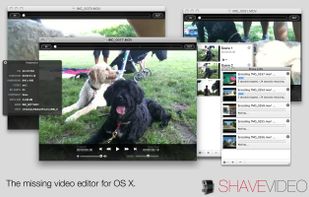 Shave Video screenshot 1