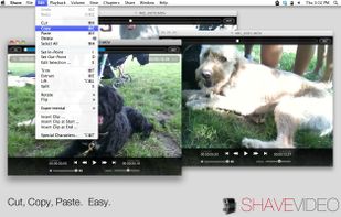 Shave Video screenshot 1