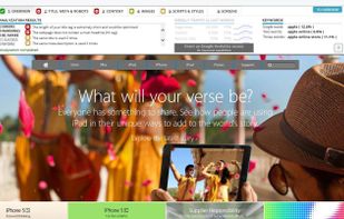 The webpage inspector, that gives you detailed information on how the specific webpages on your website are performing, and what could be improved.