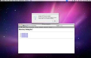Simple HTTP Server screenshot 1