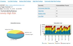 Sample online report