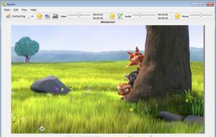 Play your favorite movie or share it with friends (Windows version 0.15.1)