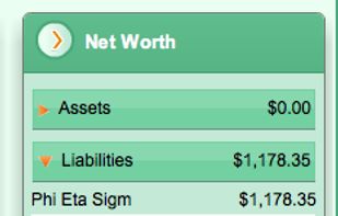OneBudget.com - Track your net worth and details