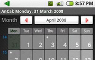 Month Screen