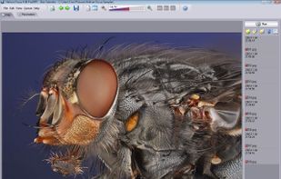 Helicon Focus screenshot 1