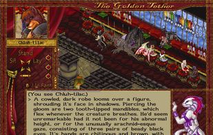 Furcadia is also used for role-playing.