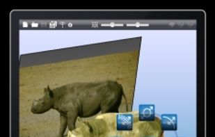 Archipelis 3D screenshot 3