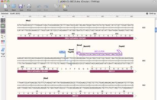SnapGene Viewer screenshot 1