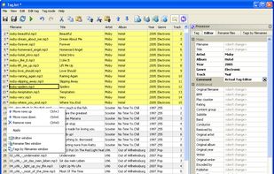 Editor window: changing fields of batch of tags
