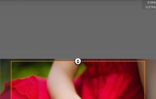 Search by Image: TinEye + Google screenshot 2