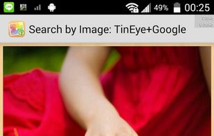 Search by Image: TinEye + Google screenshot 3