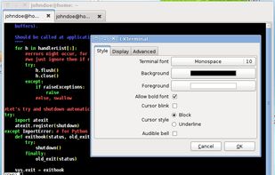 LXTerminal screenshot 1