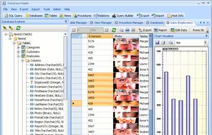 Database Master Main View