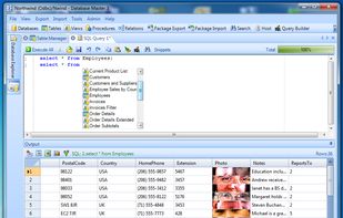 Database Master IntelliSense
