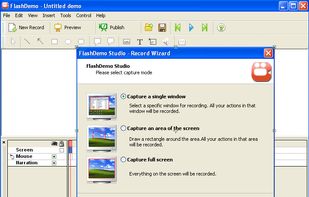 FlashDemo screen recorder