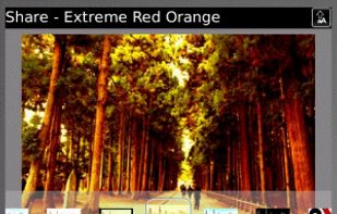 Bibbycam screenshot 1