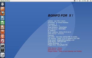 BGINFO4X screenshot 1