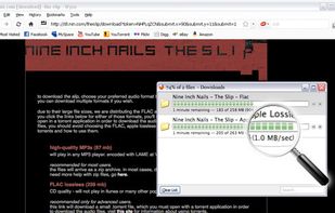 Bittorrent Integration