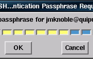 x11-ssh-askpass screenshot 1