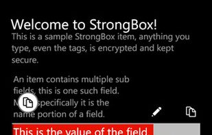 Completely free-form fields and field labels