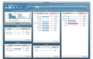 Your entire budget on a single page