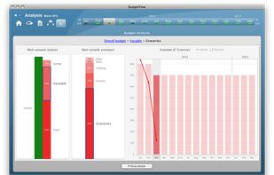 Analyze your budget visually