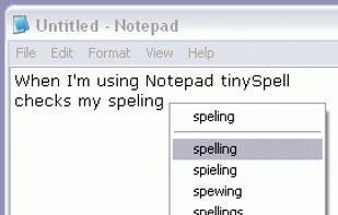 tinySpell screenshot 1