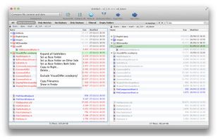 VisualDiffer screenshot 1