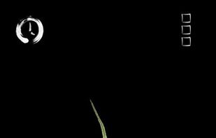 Bodhi Timer screenshot 3