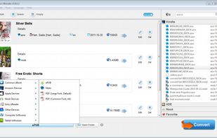 Add any books to remove drm and convert the format