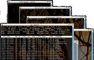 LilyTerm screenshot 1